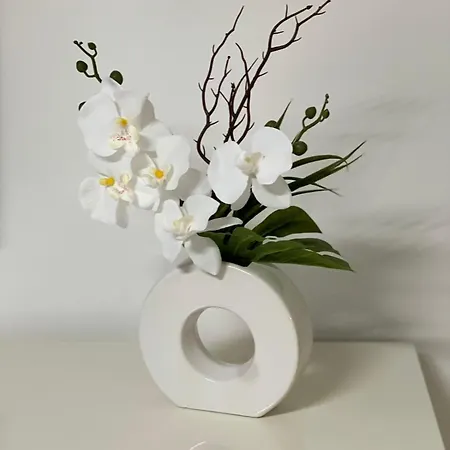 Designer In Erstbezug 75 Tv Mit Netflix Und Offene Küche Wehome Premium Apartamento Sinsheim